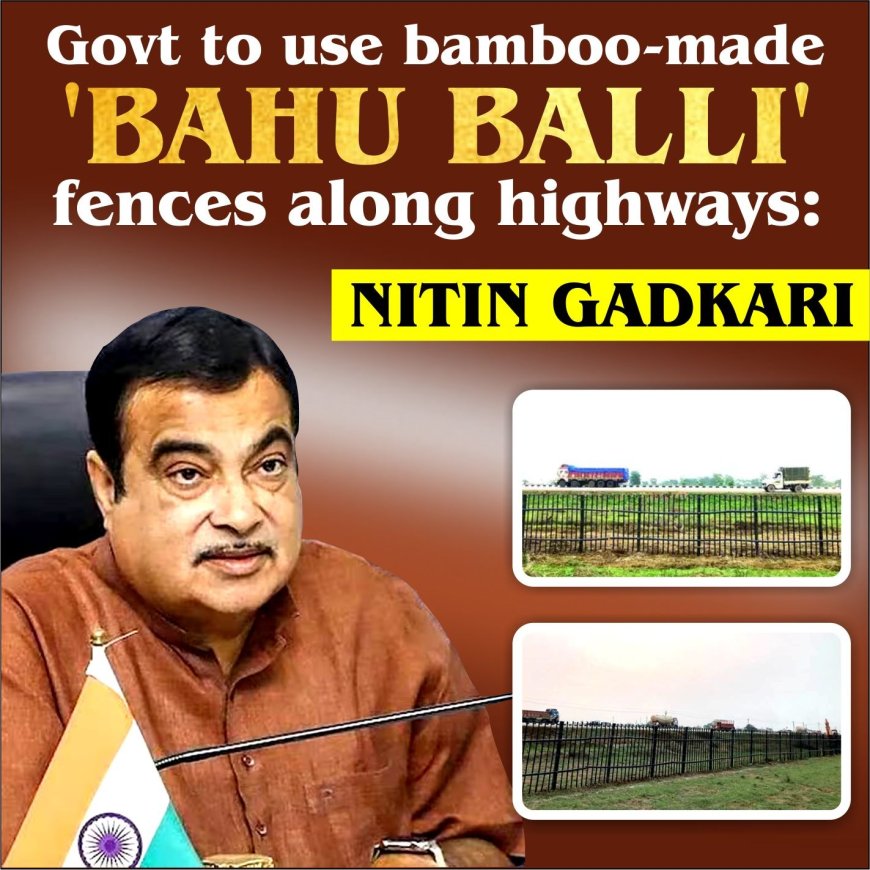 Govt to use bamboo-made ‘Bahu Balli’ fences along highways: Nitin Gadkari